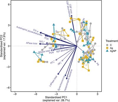 Dynamics and enzymatic degradation of exopolymer particles under increasing concentrations of silver ions and nanoparticles during a marine mesocosm experiment